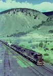 3125_Pando_001.jpg