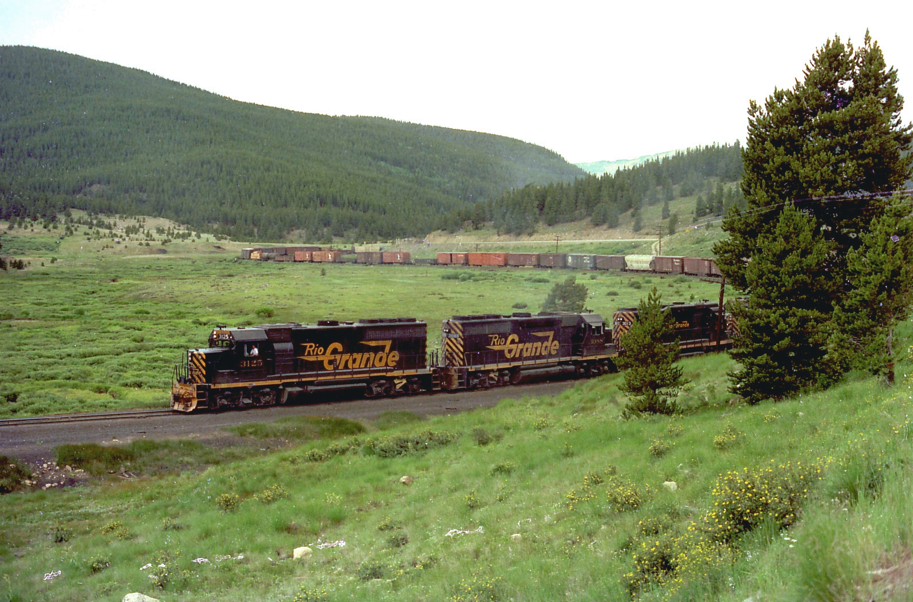 drgw_3125_tennesseepass_co_aug_1976_000_3187x2102.jpg