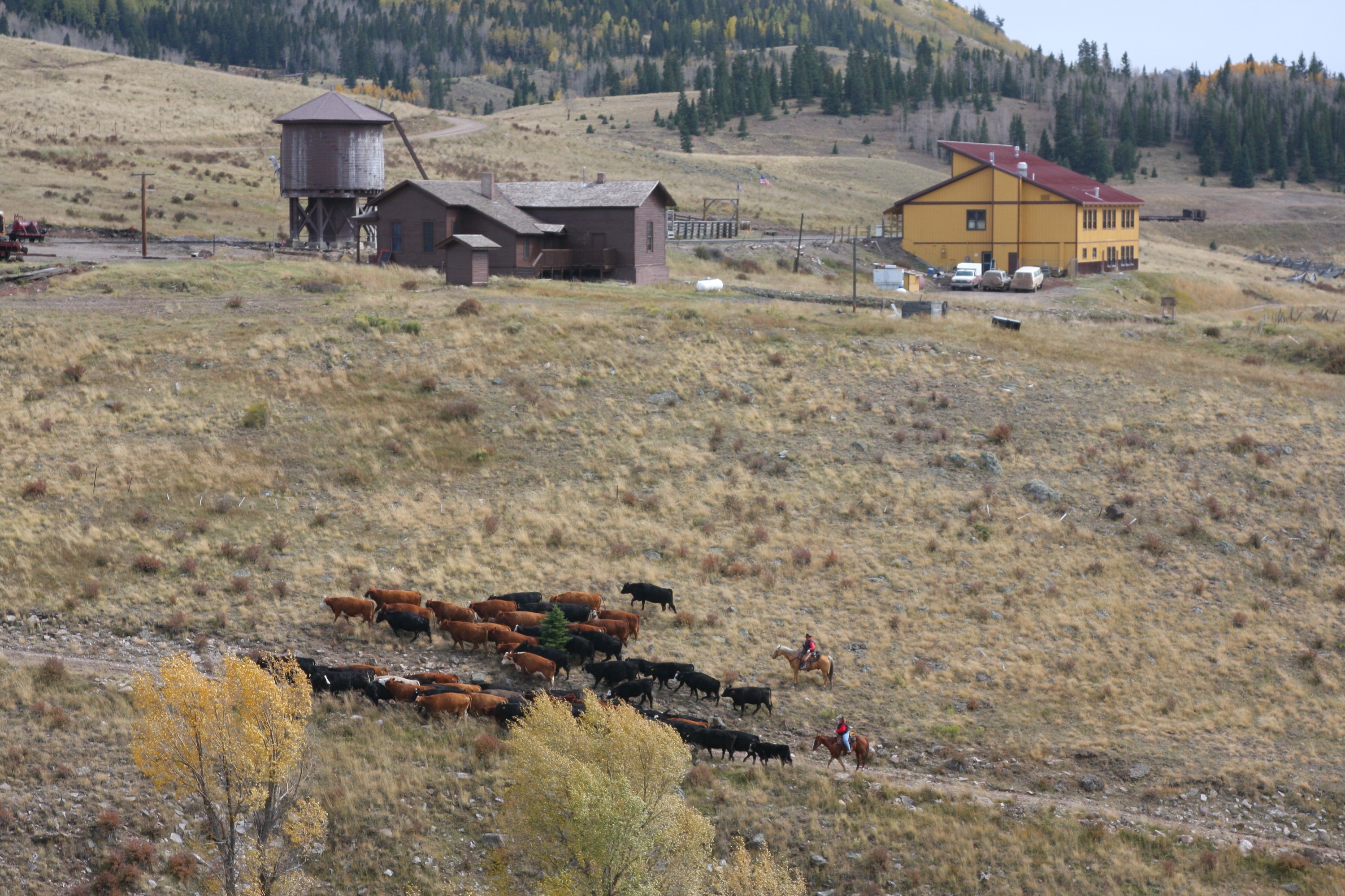 xxxx_cowboys_osier_co_1_oct_2007_001_3888x2592.jpg