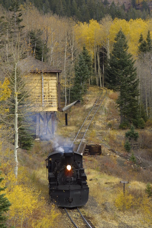 cats_487_cresco_nm_20_oct_2002_000_1440x2160.jpg