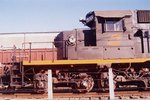 4820_capitao_eduardo_08maio2005.jpg