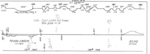 dotsero_pueblo_1963_MP180_185_1725x625.png