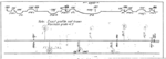 dotsero_pueblo_1963_MP185_190_1725x625.png