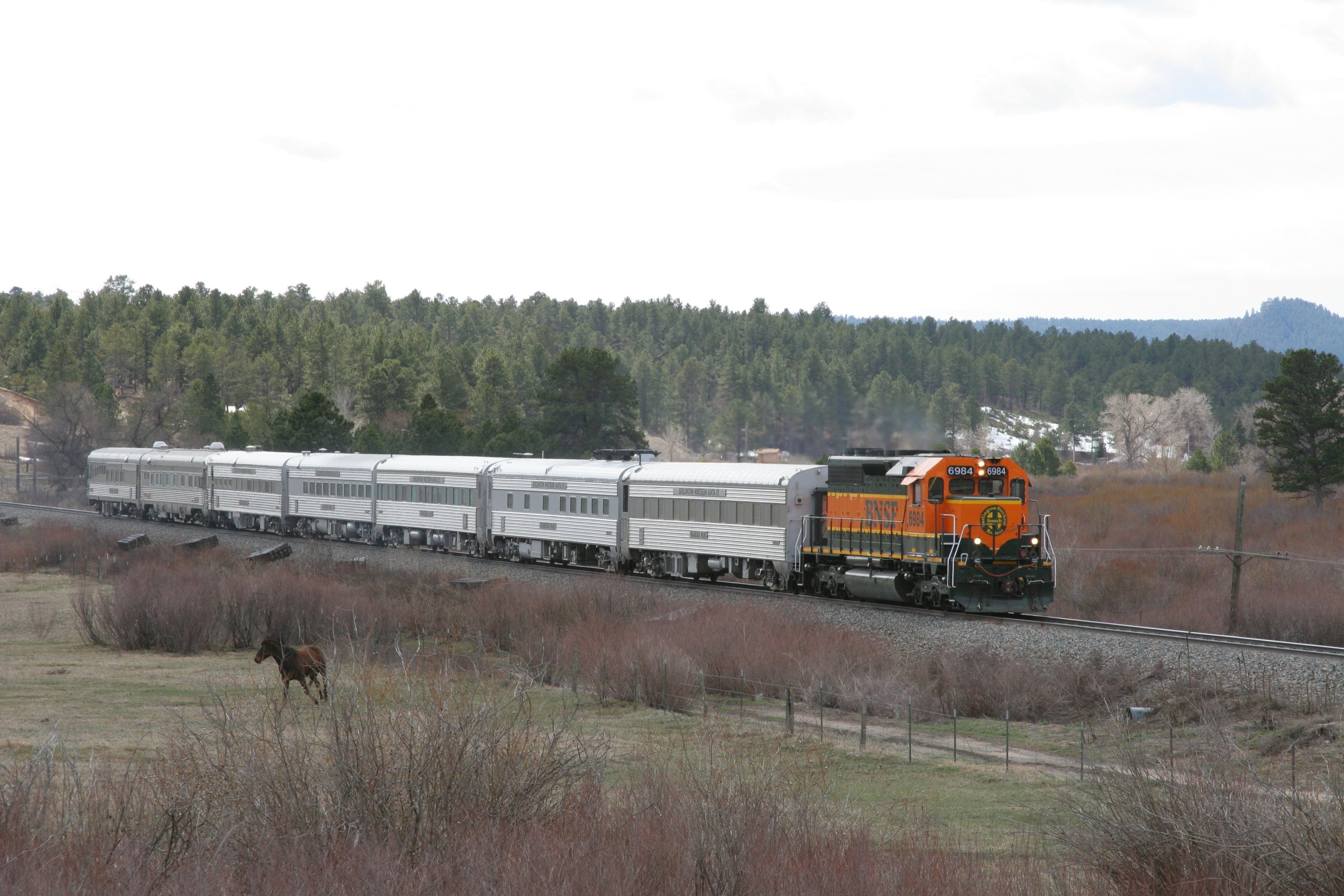 bnsf6984_larkspur.jpg