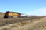 BNSF_4798_C44_9W_TALGO_SET_EAST_OF_AVONDALE_CO_3DEC12_NATHAN_ZACHMAN_IMG_2634.jpg