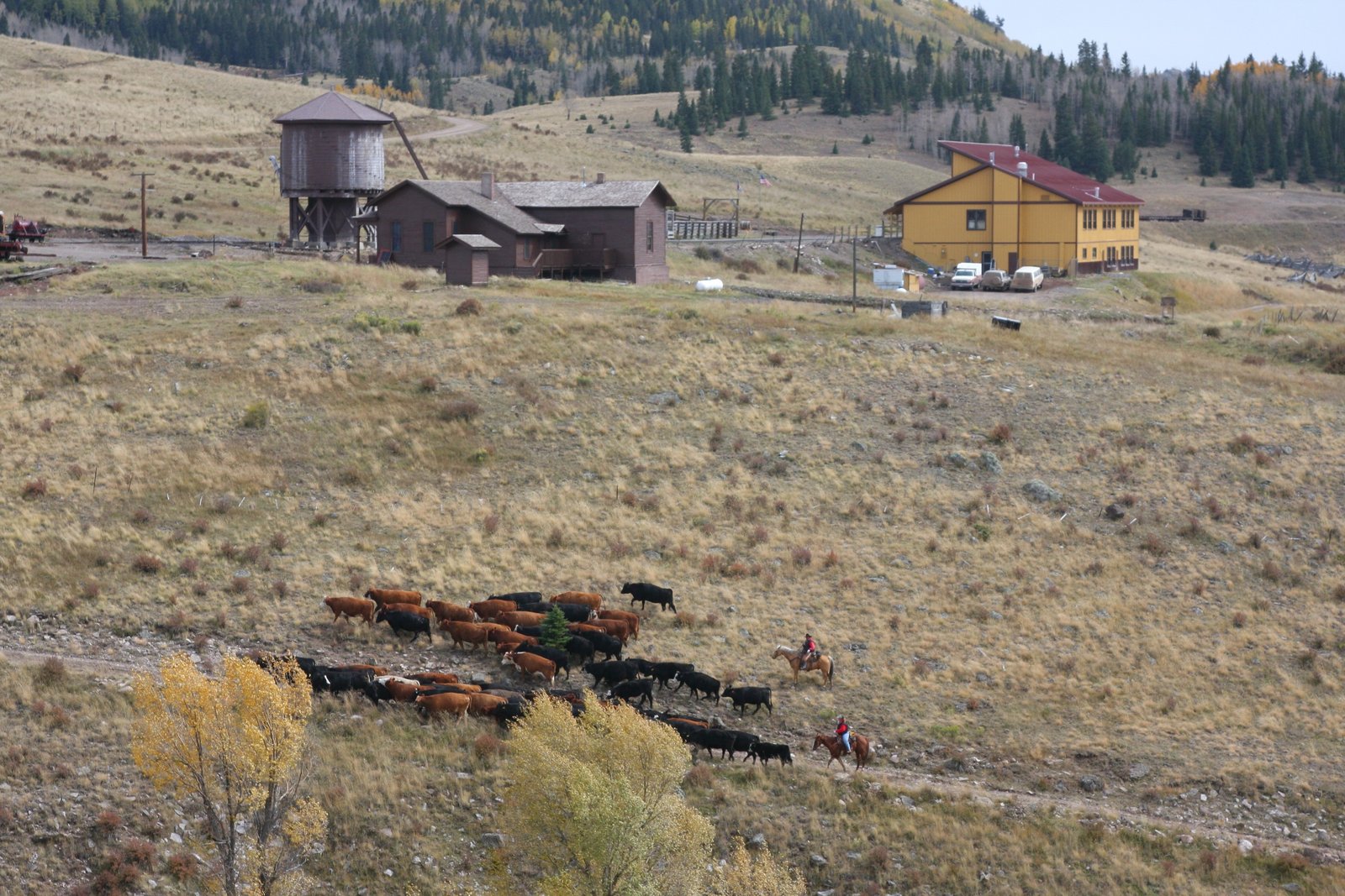 xxxx_cowboys_osier_co_1_oct_2007_001_3888x2592.jpg